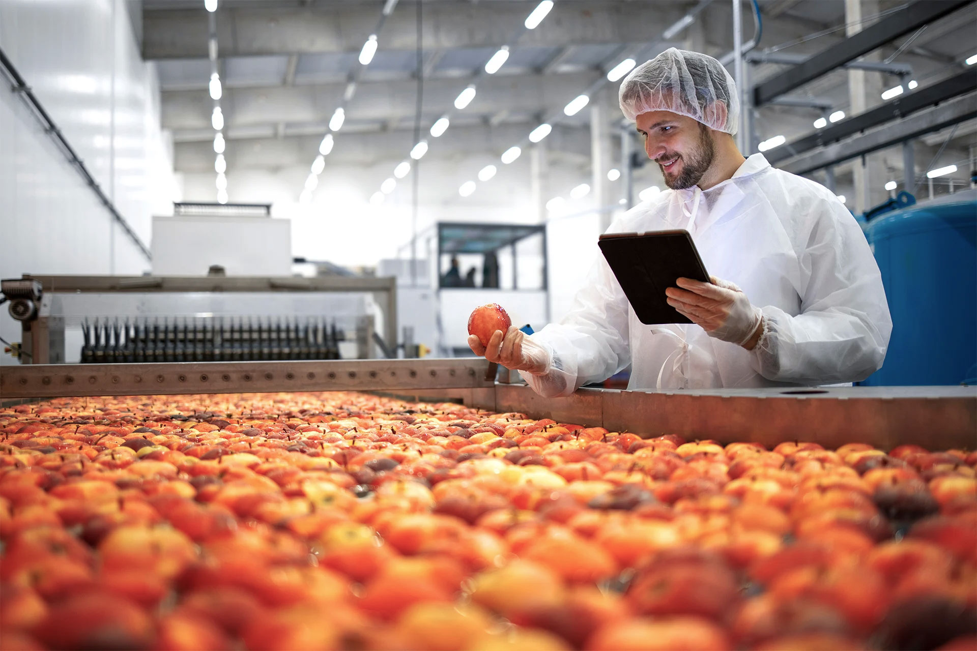 food-production-safety